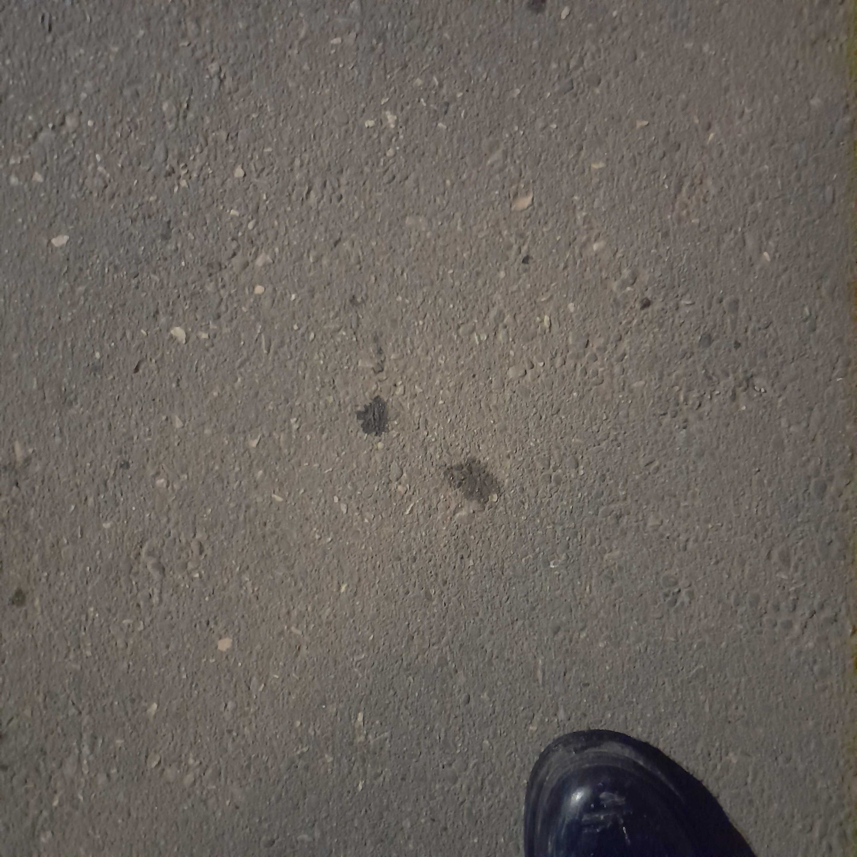 eyes poking through asphalt
